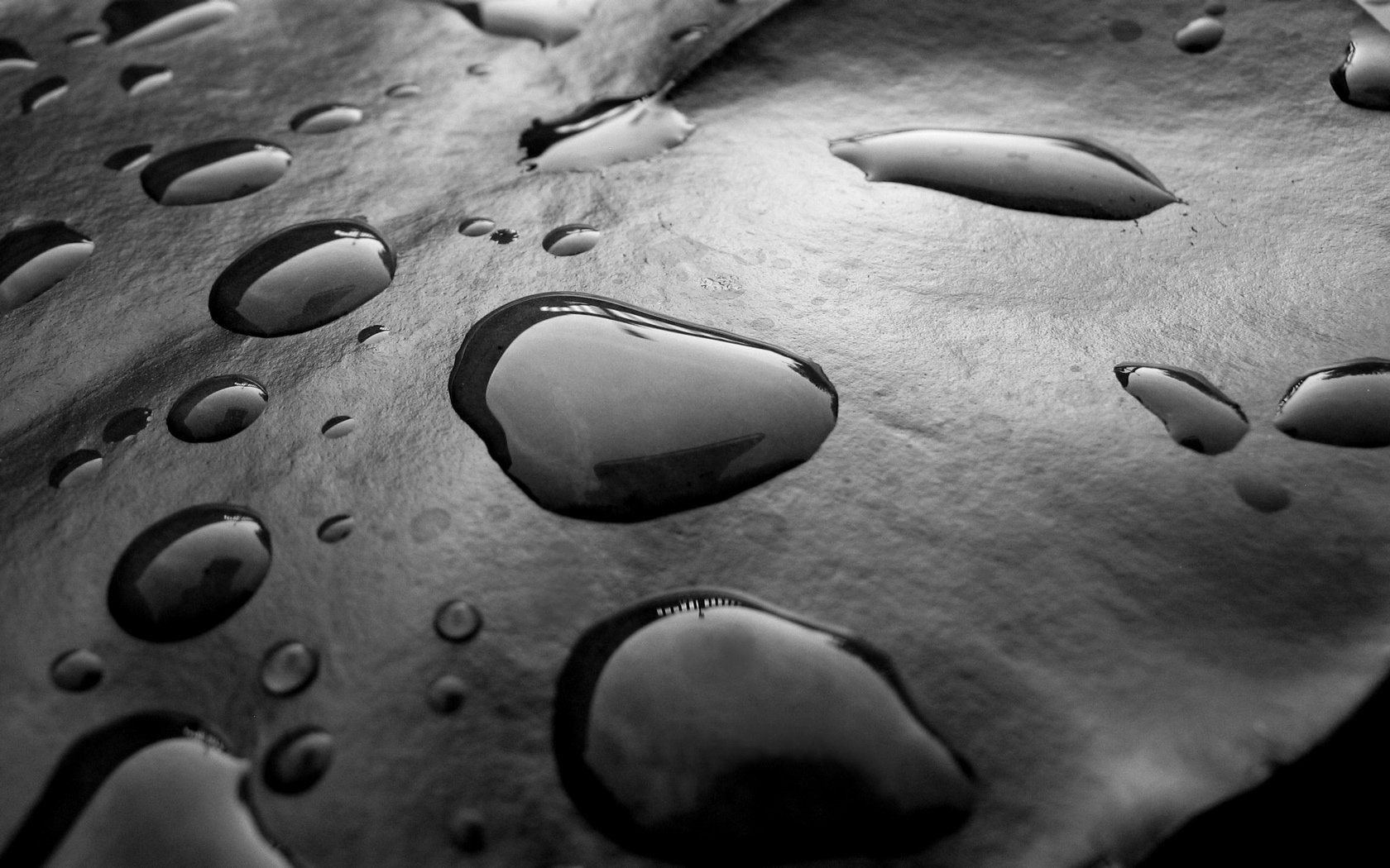 Black And White Drops Wallpaper Stock Photos