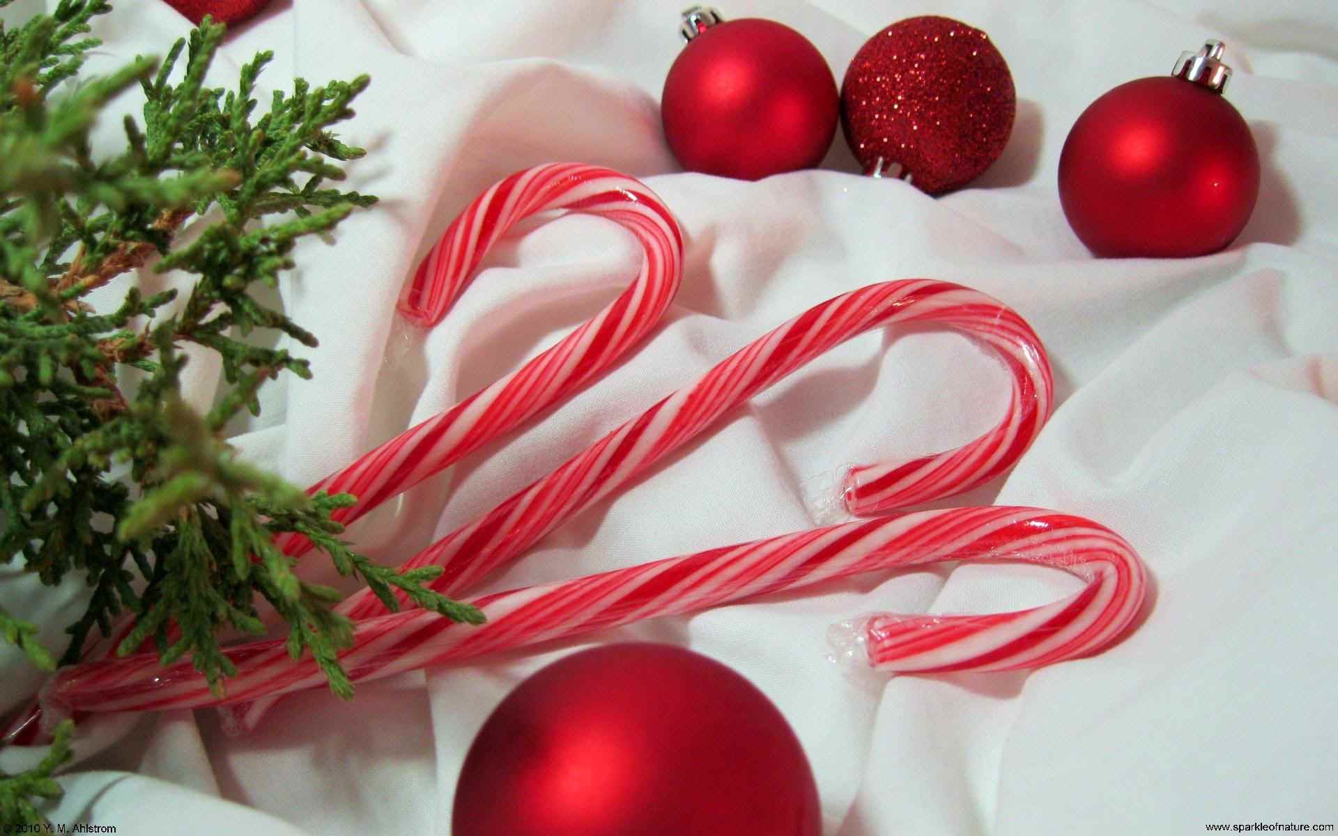 Candy Cane Background Wallpaper