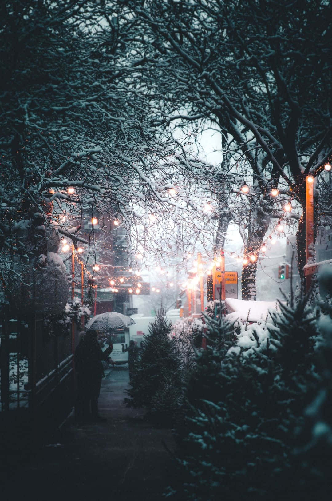 Snow iPhone Wallpaper