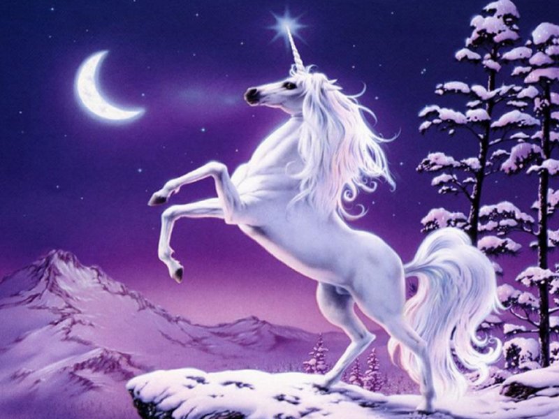 Free Download 31stchi A Bunch Of Pictures Of Unicorns 800x600 For Your Desktop Mobile Tablet Explore 76 Unicorns Wallpaper Free Unicorn Wallpaper And Screensavers Windows 10 Unicorn Wallpaper Download Free Unicorn Wallpaper
