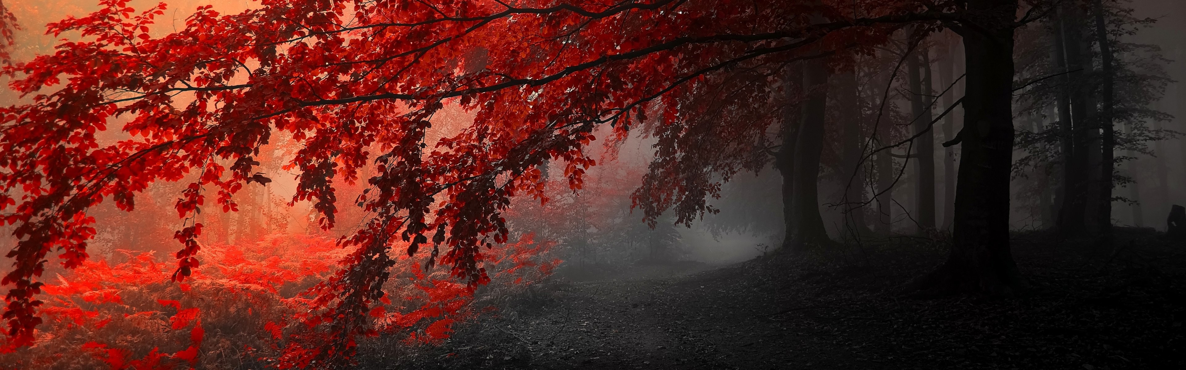 Desktop Wallpaper For Multiple Monitors