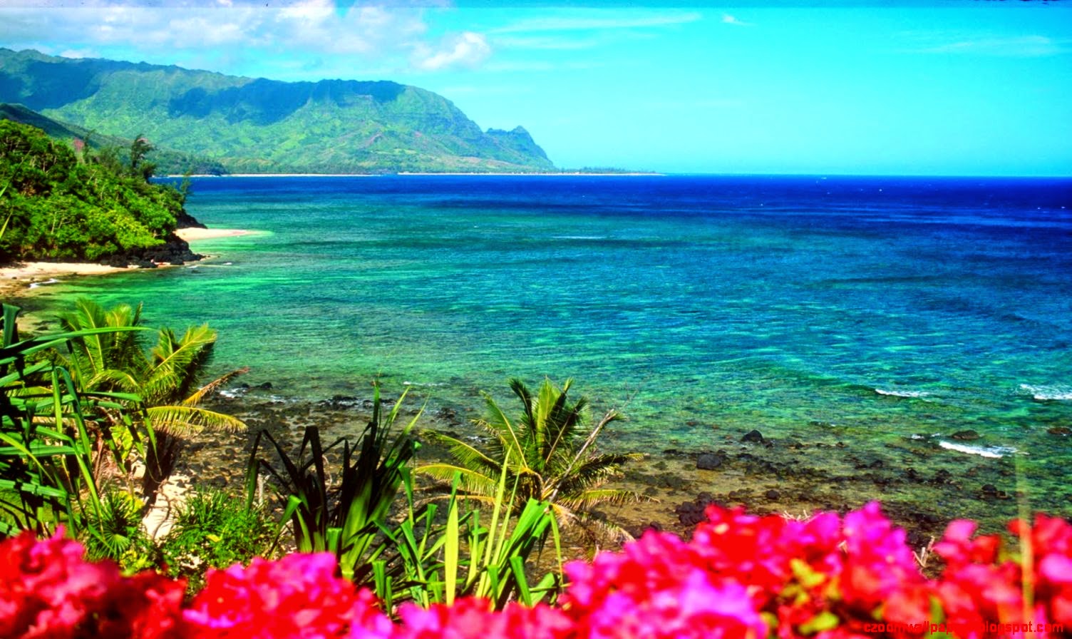 Hawaii Beach Desktop Background Zoom Wallpaper