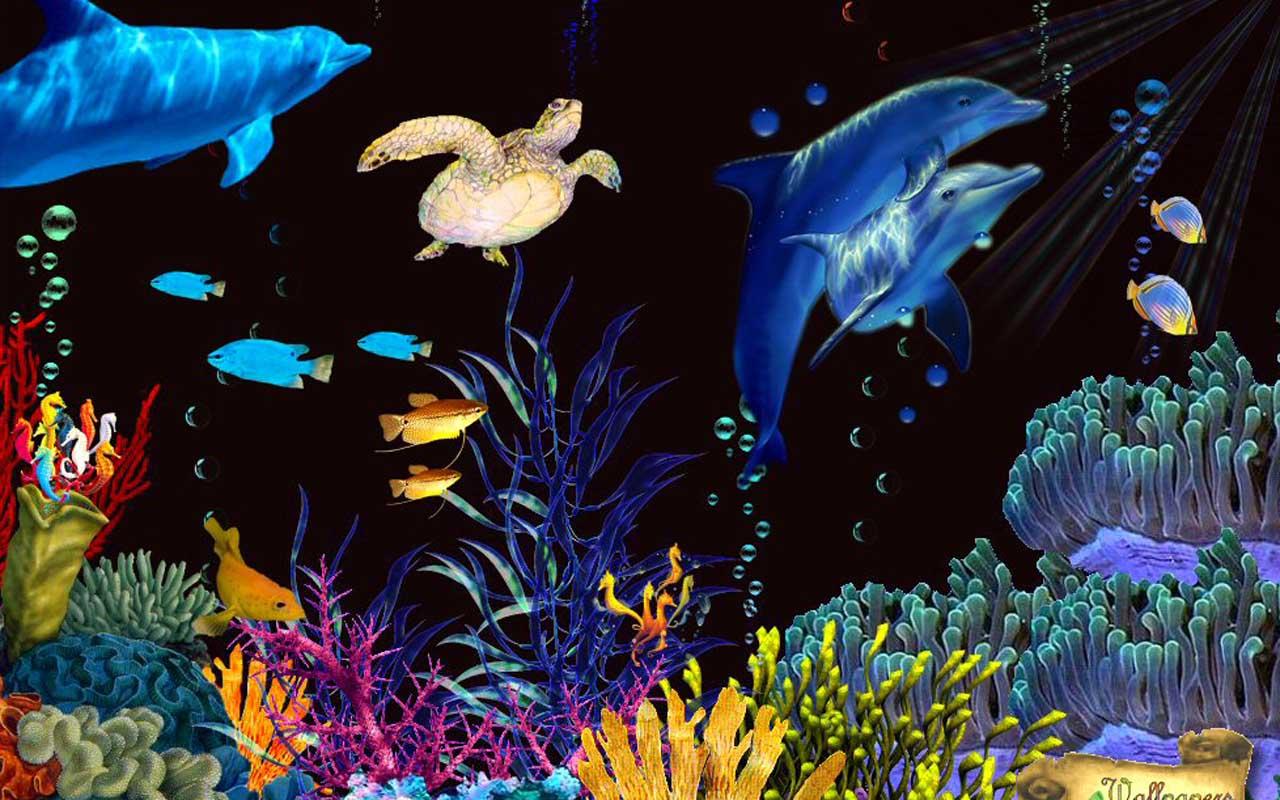 5D Aquarium live wallpaper   screenshot