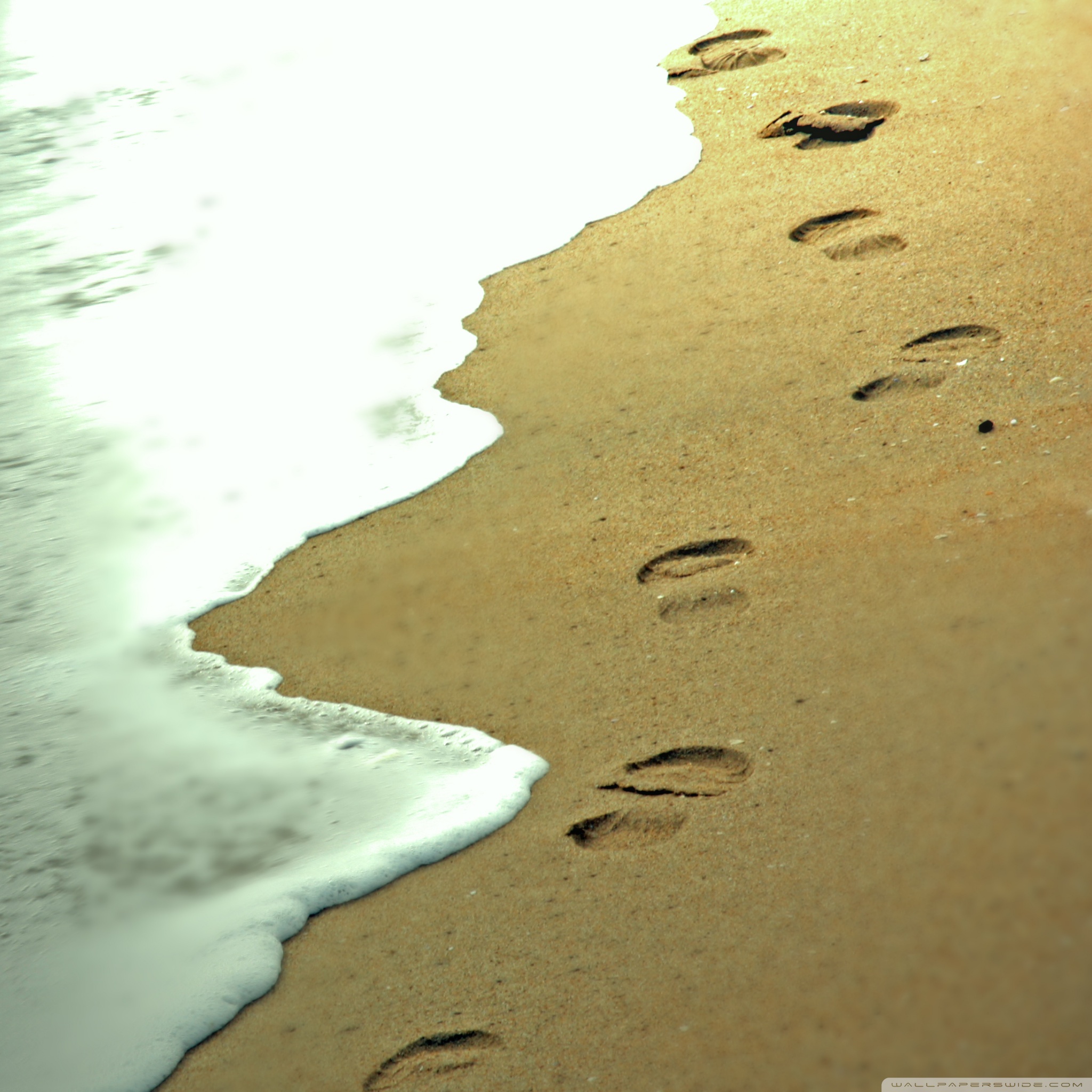 Footprints in the Sand Ultra HD Desktop Background Wallpaper for