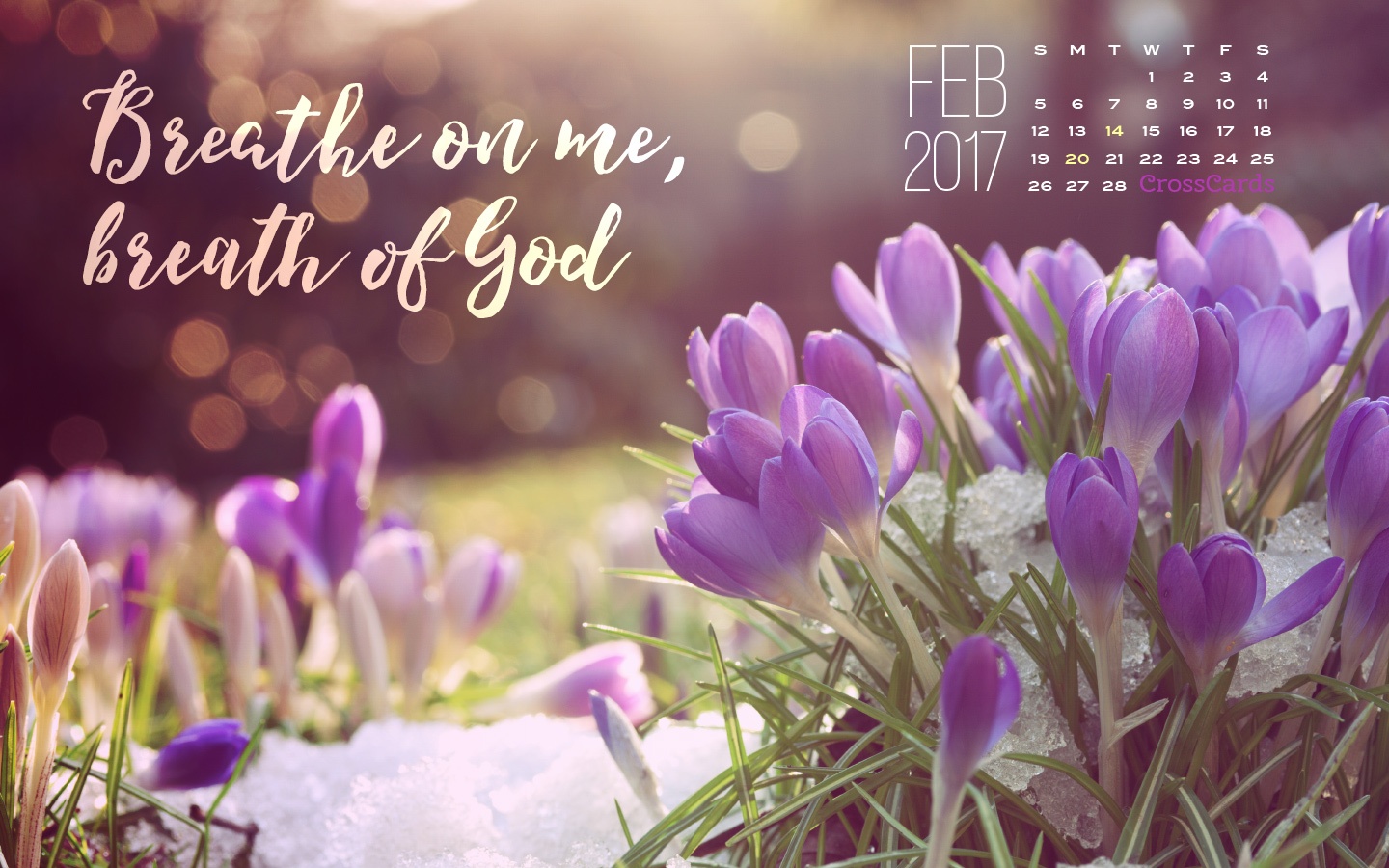 February Breath Of God Desktop Calendar