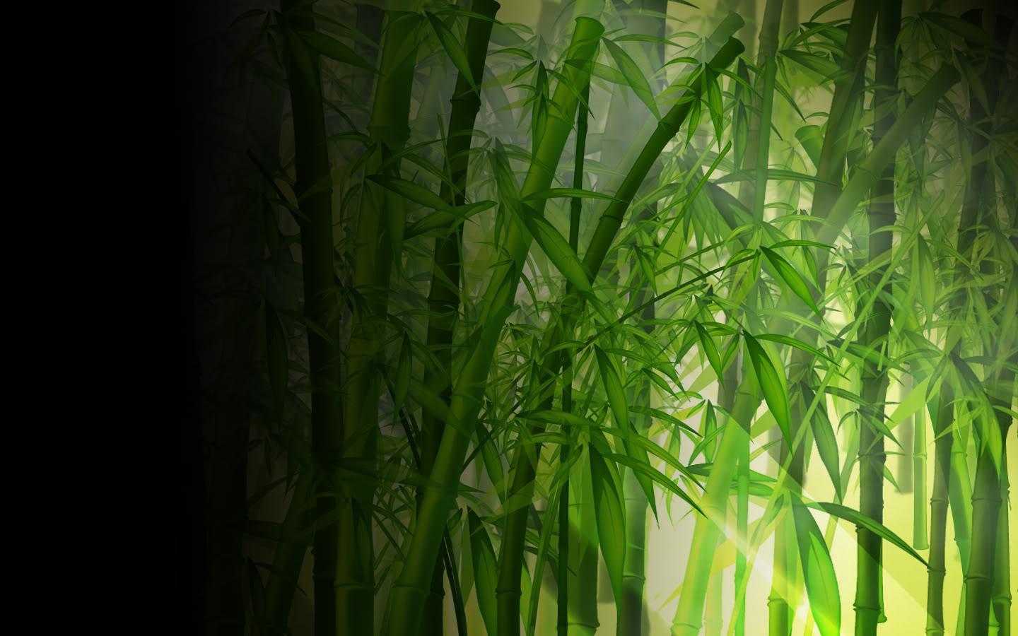 Bamboo Wallpaper