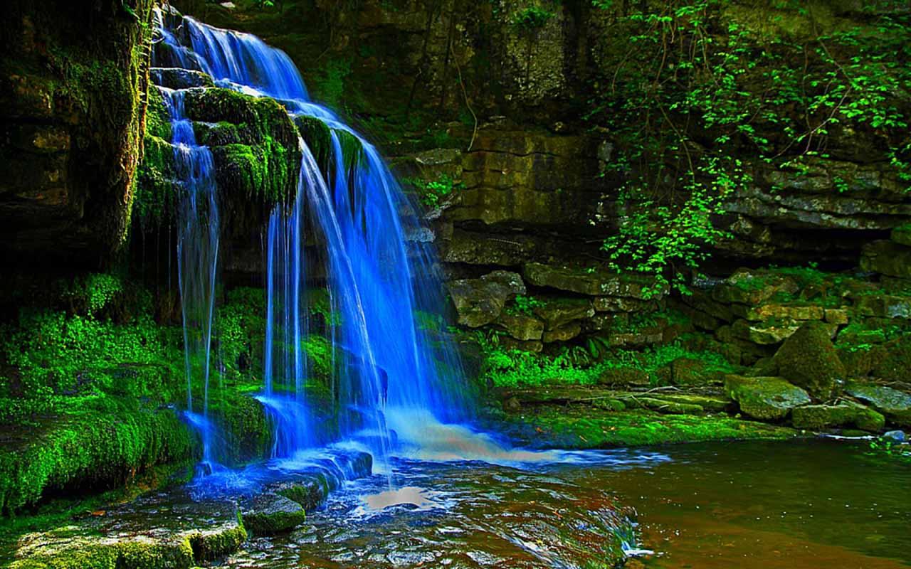 free download live waterfall screensaver for pc