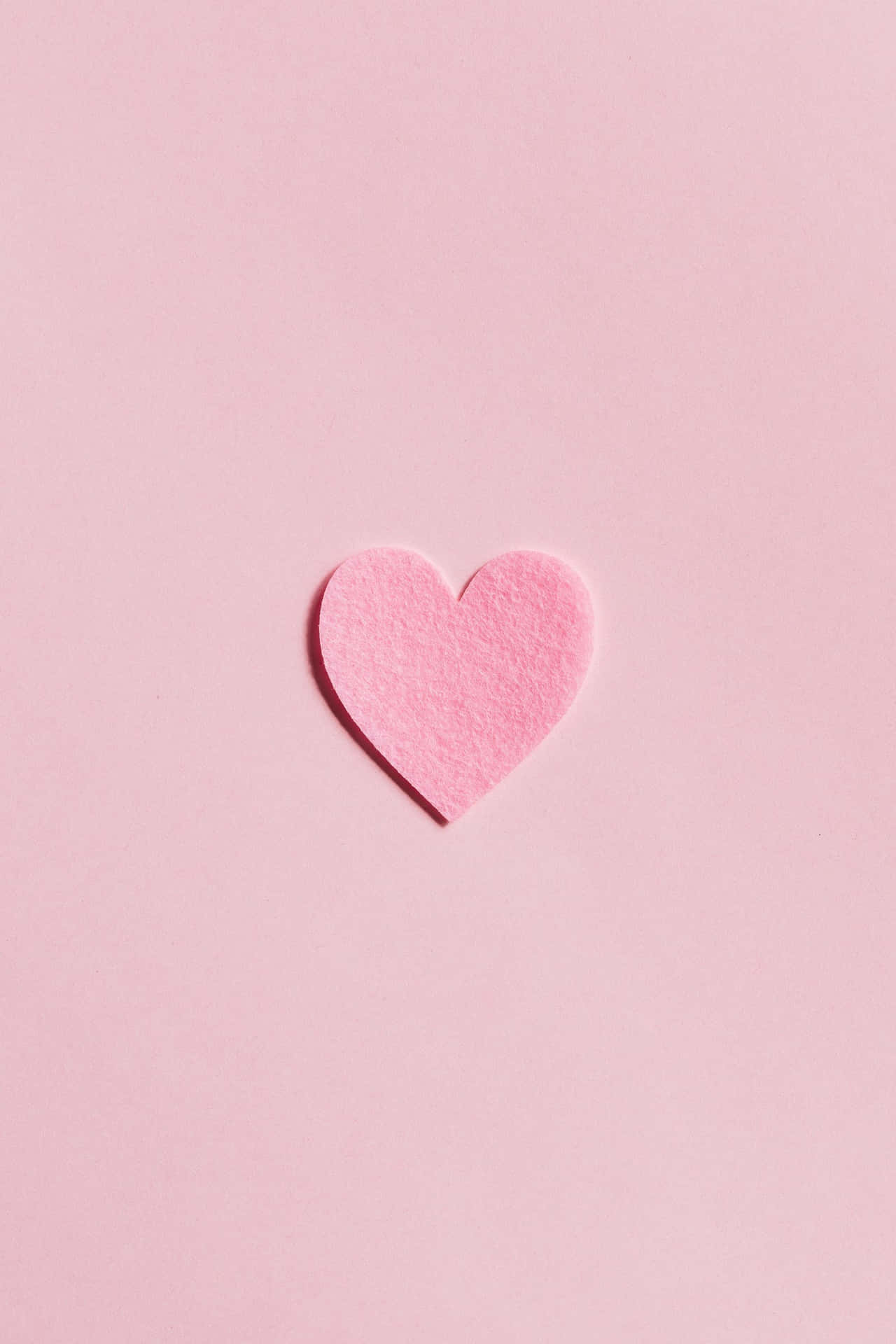 free-download-pale-pink-background-colors-combination-wallpaper-by