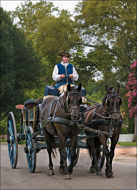 Merkle Drives A Canadian Horse Team In Colonial Williamsburg S
