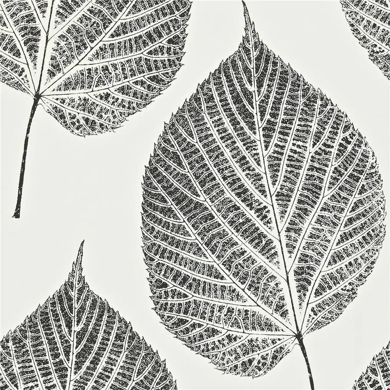 Black Chalk White Leaf Momentum Harlequin Wallpaper