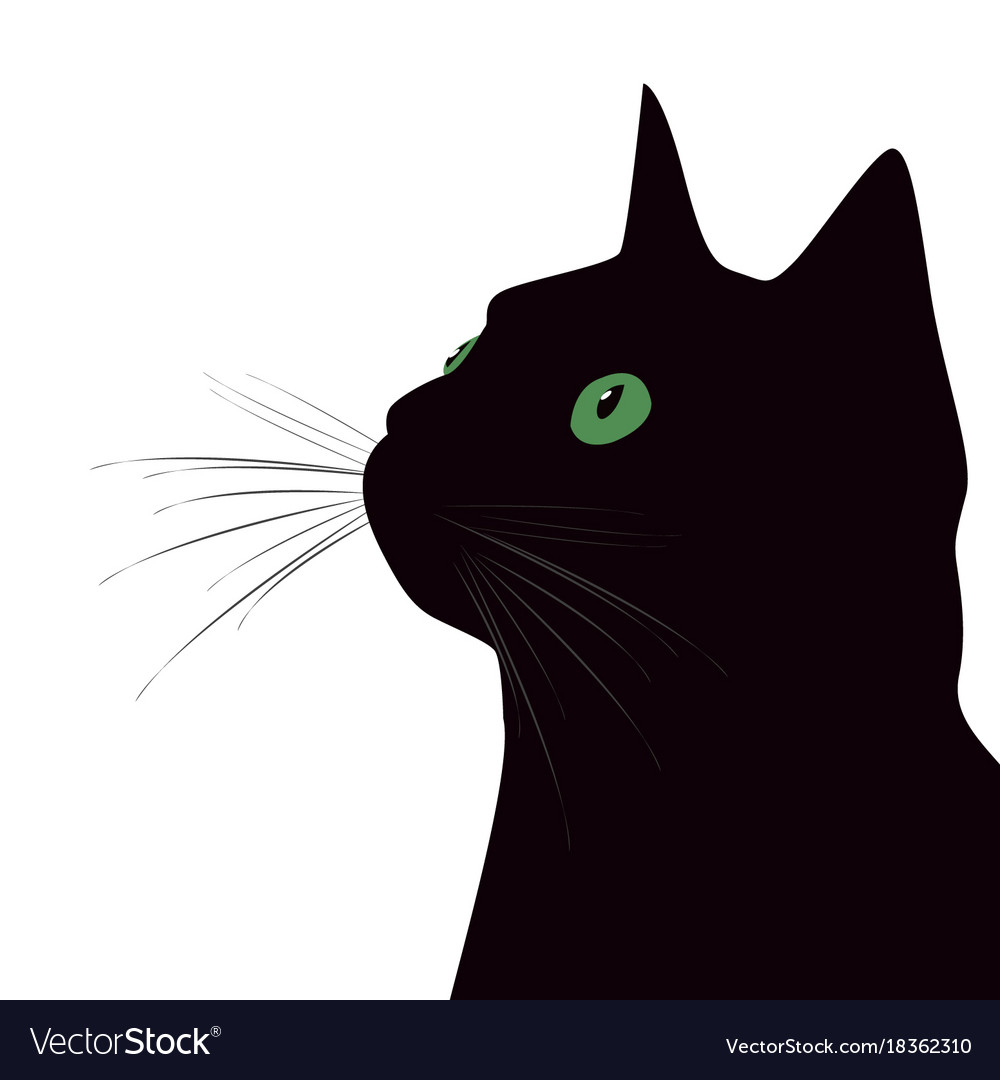 Black Cat With Green Eyes On White Background Vector Image