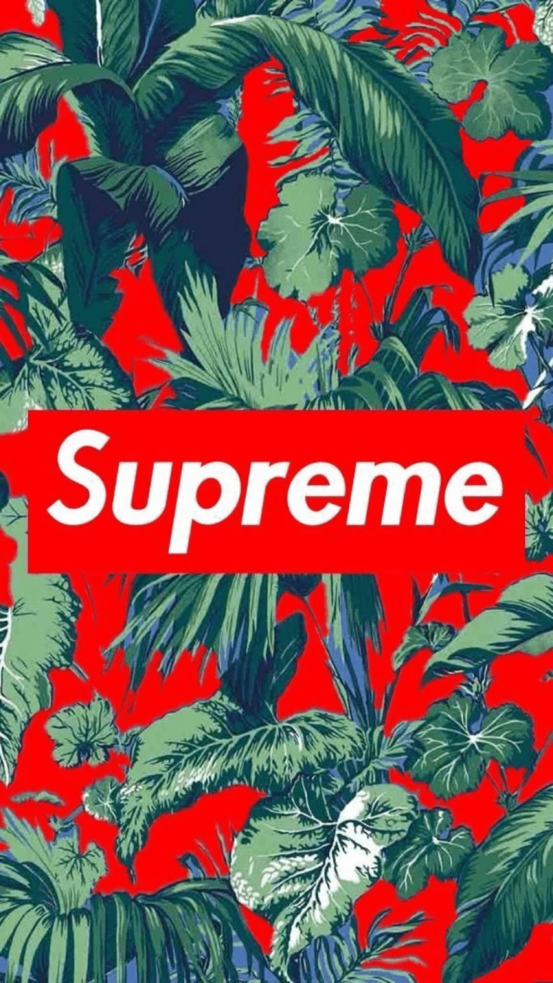 Supreme Aesthetic Wallpaper