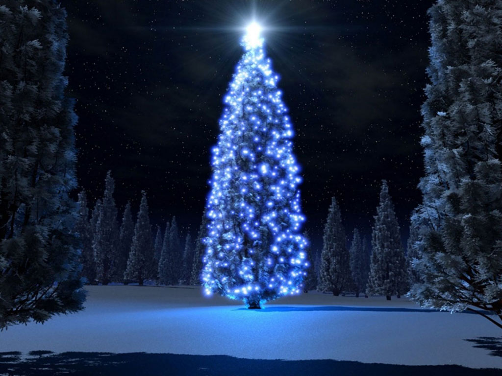 Magnificent Christmas Tree Computer Desktop Wallpaper Pictures
