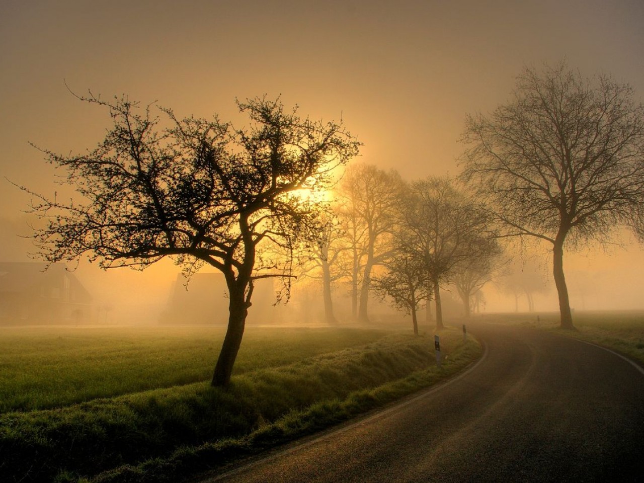 Sunrise Country Road Wallpaper Android