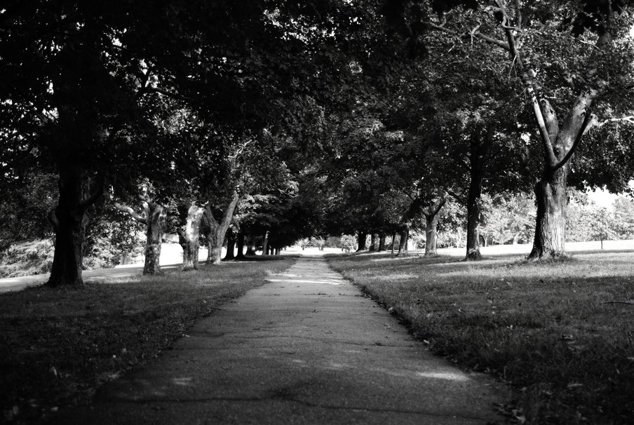Path At Maymont Park In Richmond Va Wallpaper