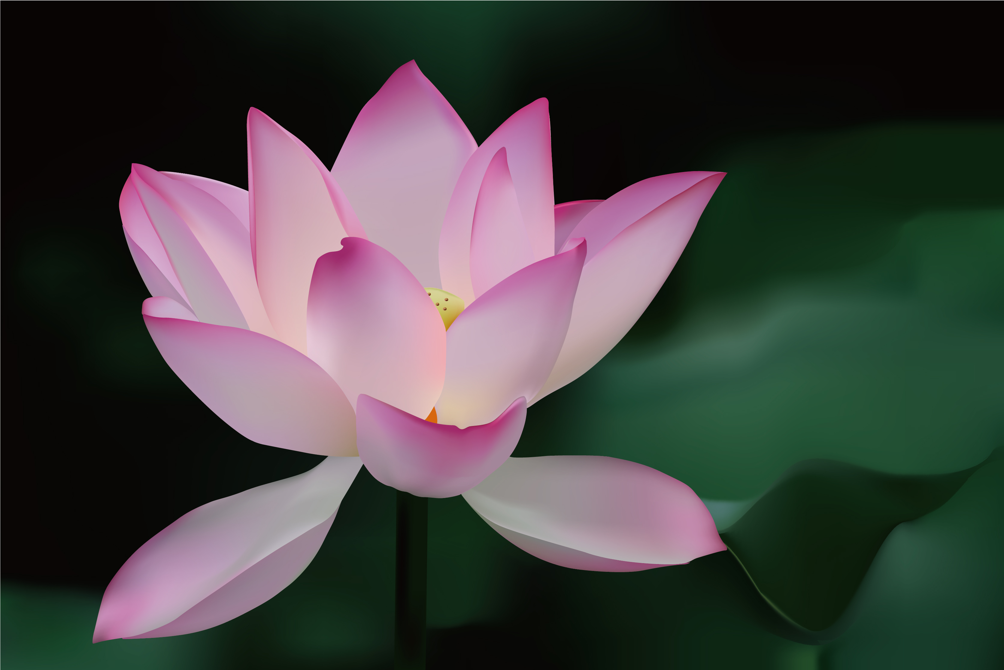 Background With Lotus Flower Abstract Divine Vector