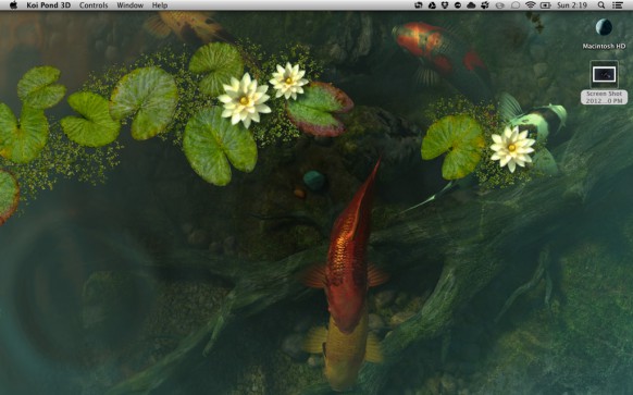 Koi Pond 3d And The Shimmering Water Lilies Dragon Flies
