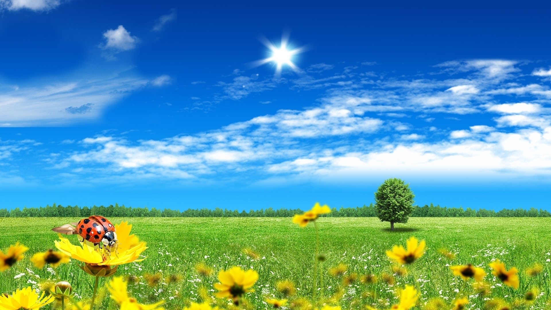 Free Download World Best Nature Photography Wallpaper Pic 13