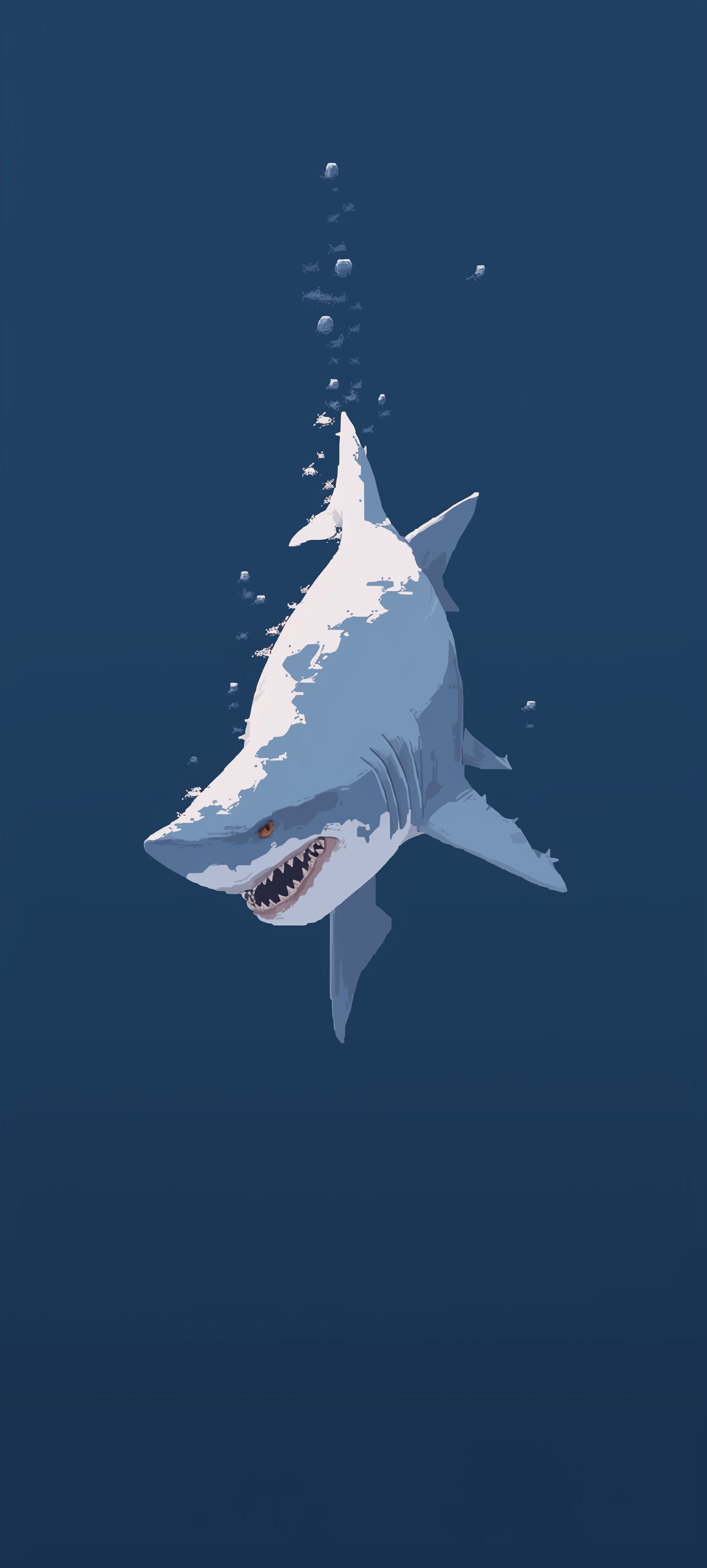 Shark Phone Wallpaper