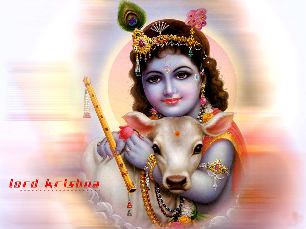 Bal Krishna Wallpaper