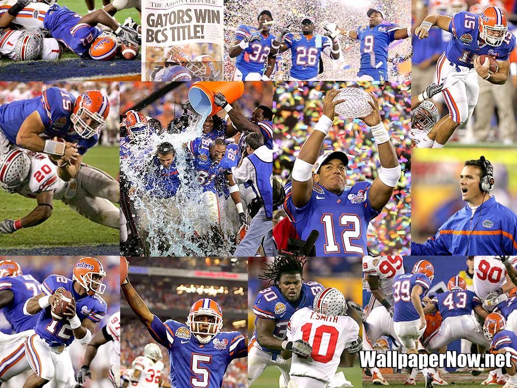 Wallpapernownet UF Gator Football Championship Wallpaper