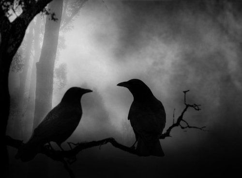 Black And White Creepy Mystical Photography Image On