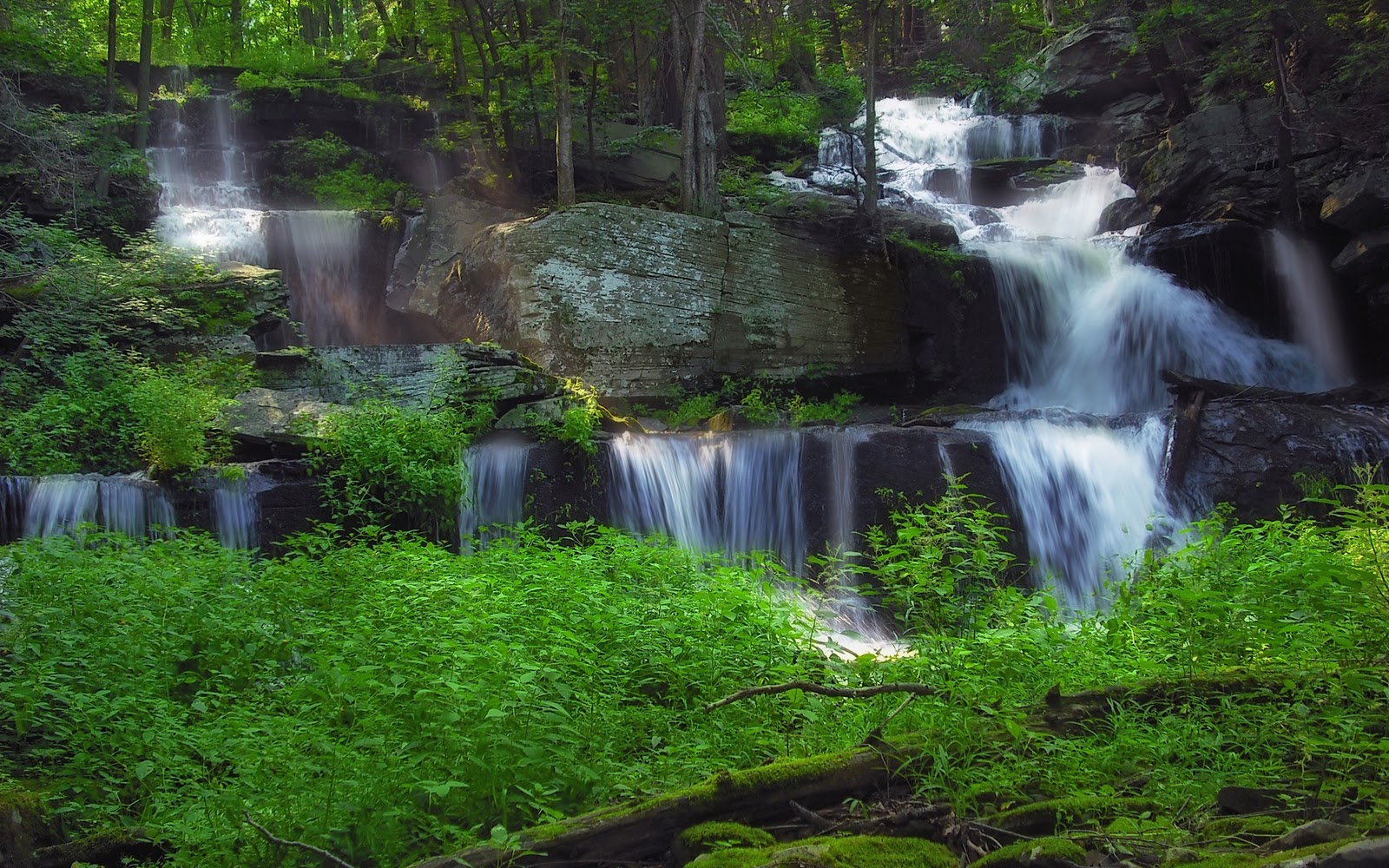  Scenary Forest Waterfalls HD Wallpapers Epic Desktop Backgrounds