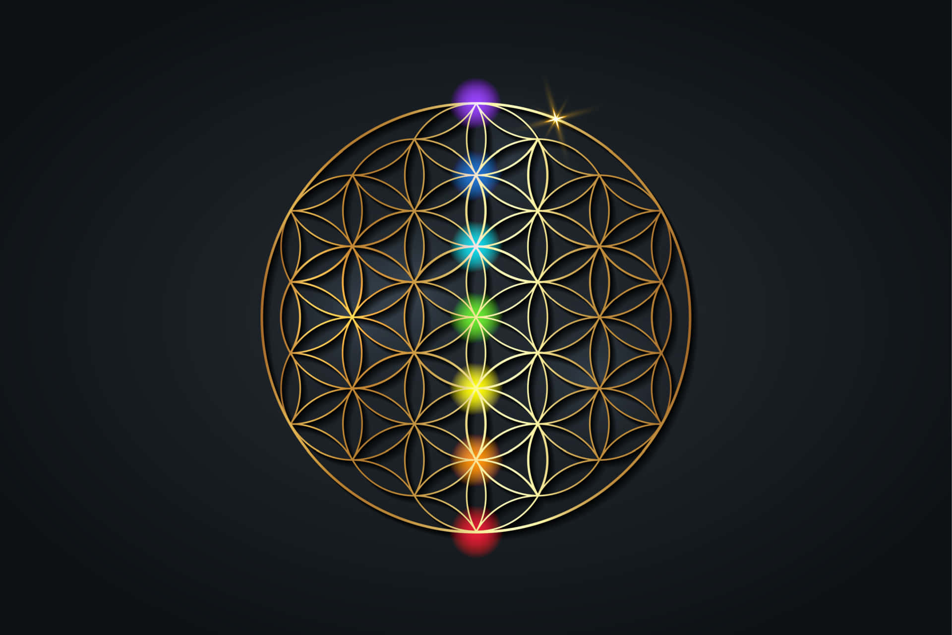 Flower Of Life Wallpaper