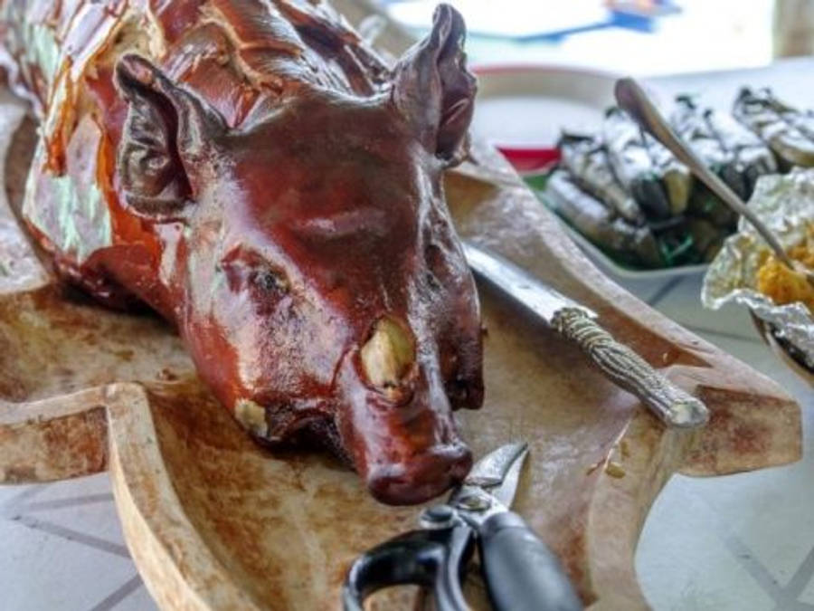 Pap Is De Parede Lechon Wallpaper