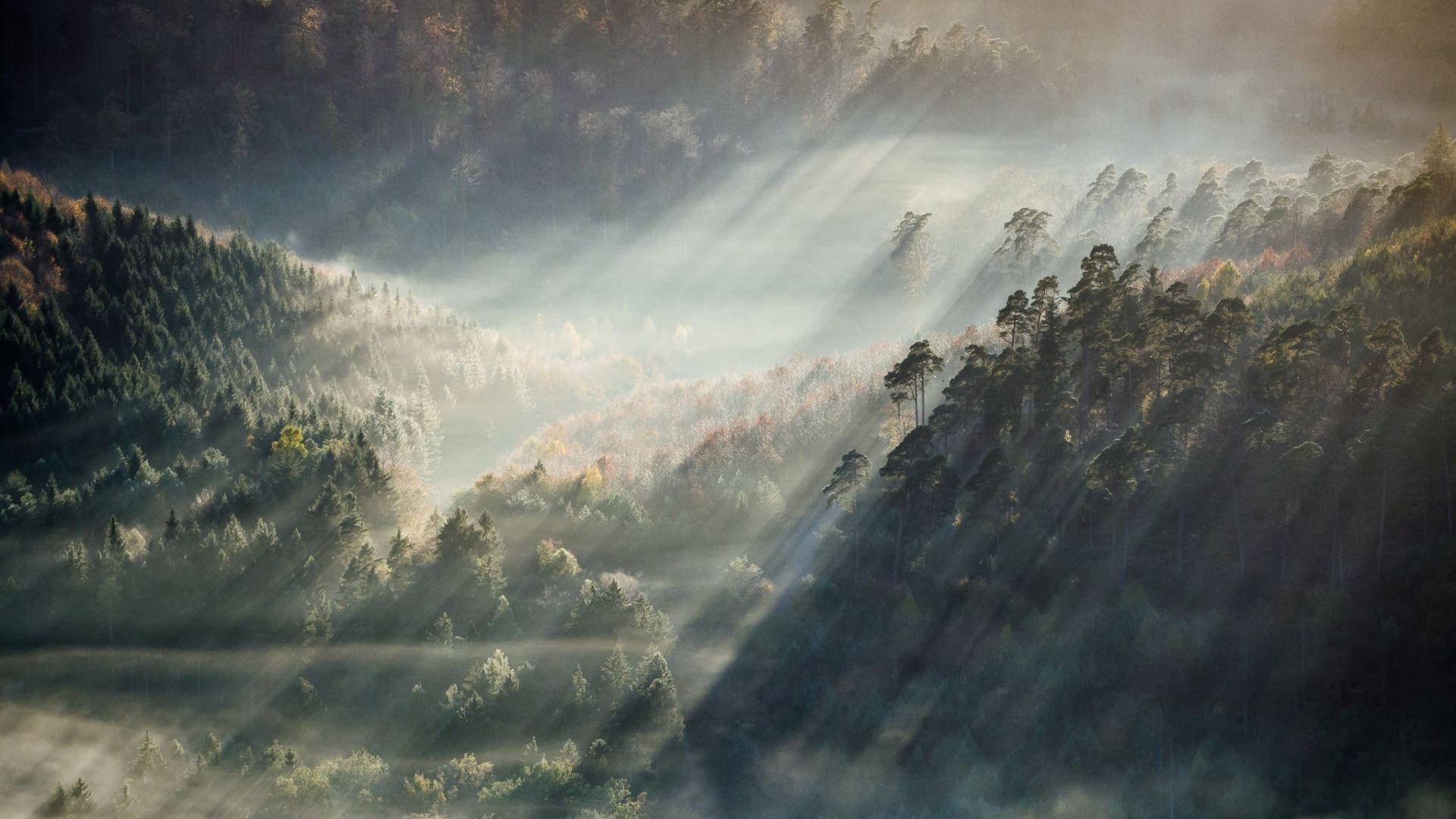 Pixel Nature Wallpaper