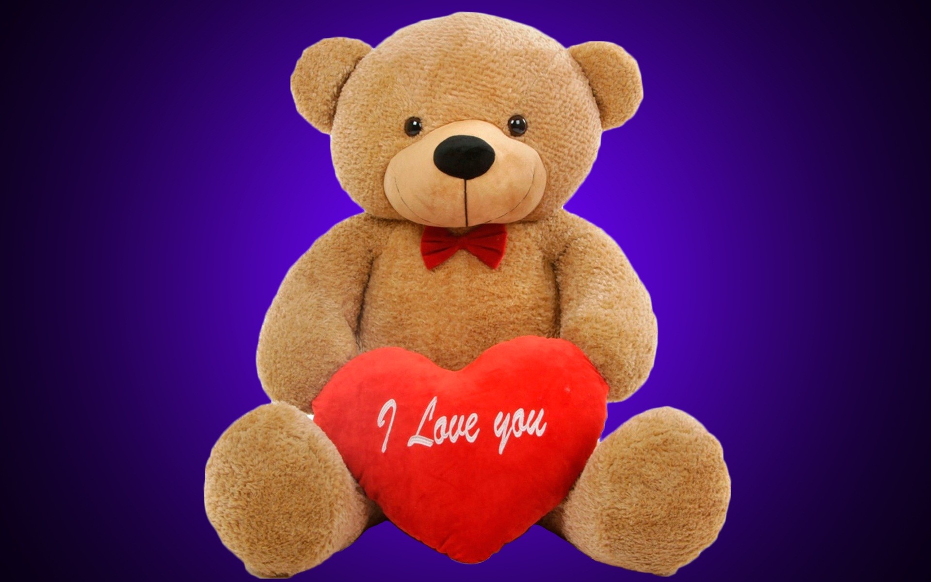 Cute Bear Wallpaper
