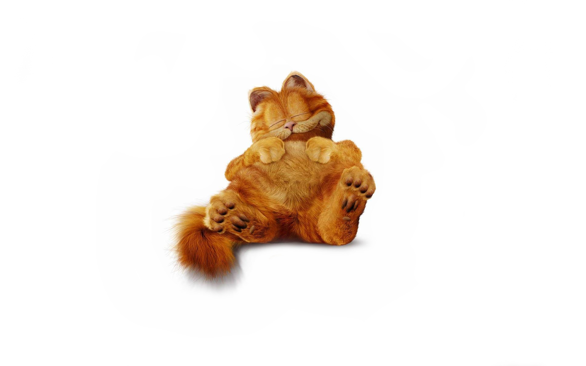 Garfield Wallpaper Cat Red Sleep Fluffy Minimalism