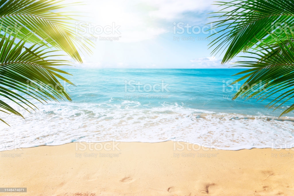 Tropical Beach Background Stock Photo Image Now Istock