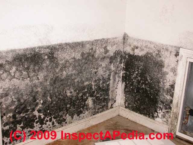 Free Download Lpt How To Get Rid Of Mold On Your Bathroom Ceiling
