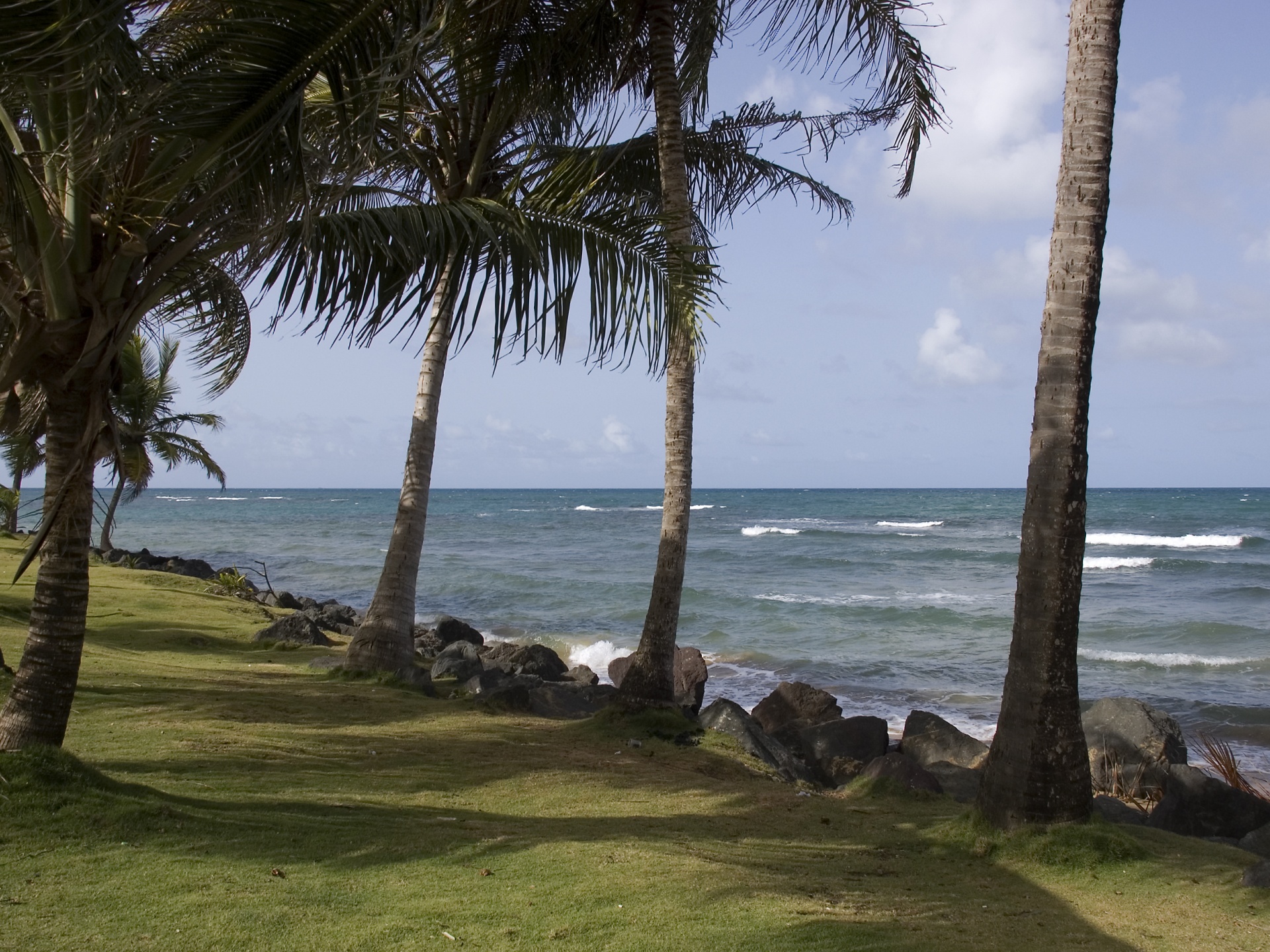 Puerto Rico Beaches Wallpaper Jpg