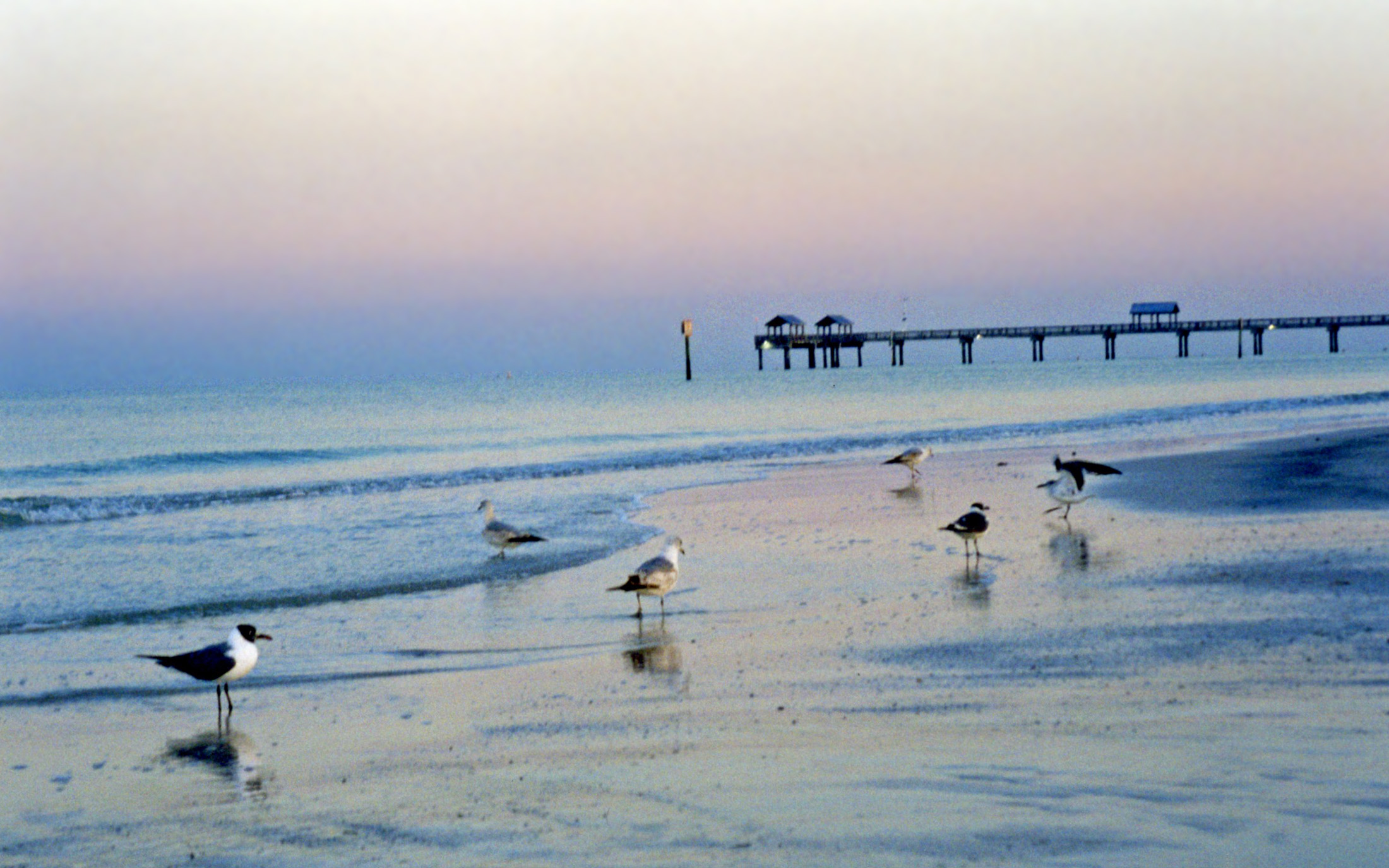 Dawn On March Clearwater Beach Florida