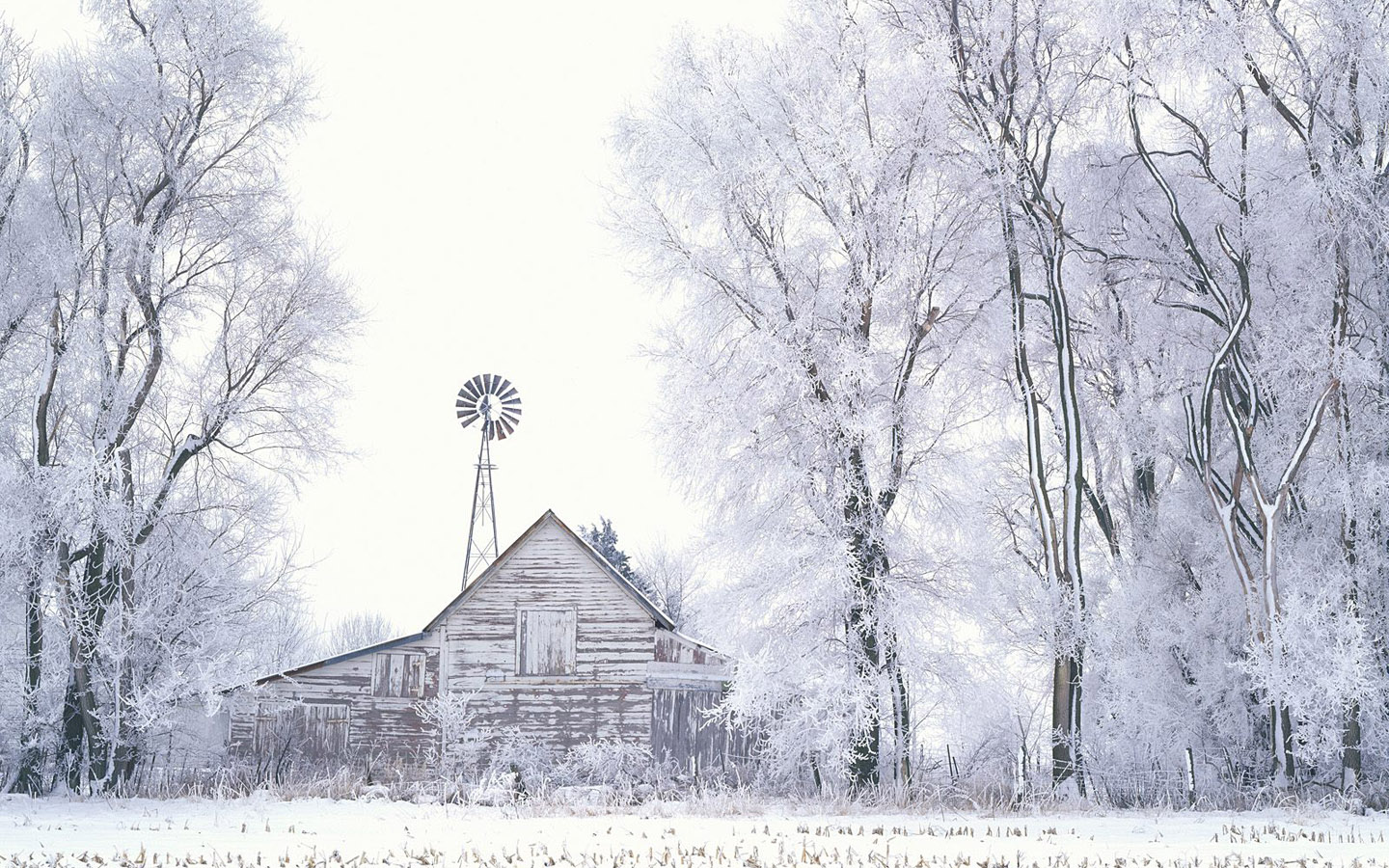 Winter Snow Scenes Wallpapers Group 1440x900