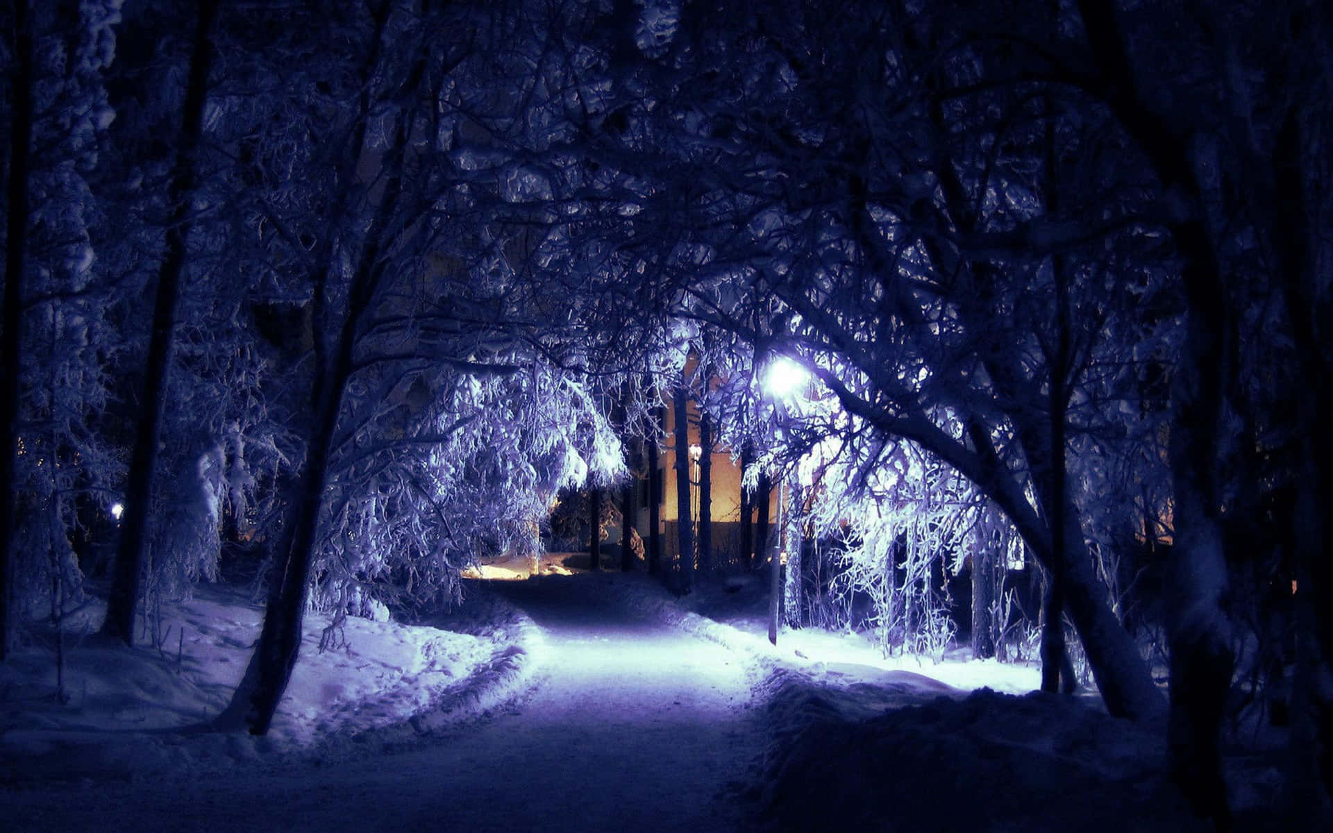 Winter Night Desktop Wallpaper