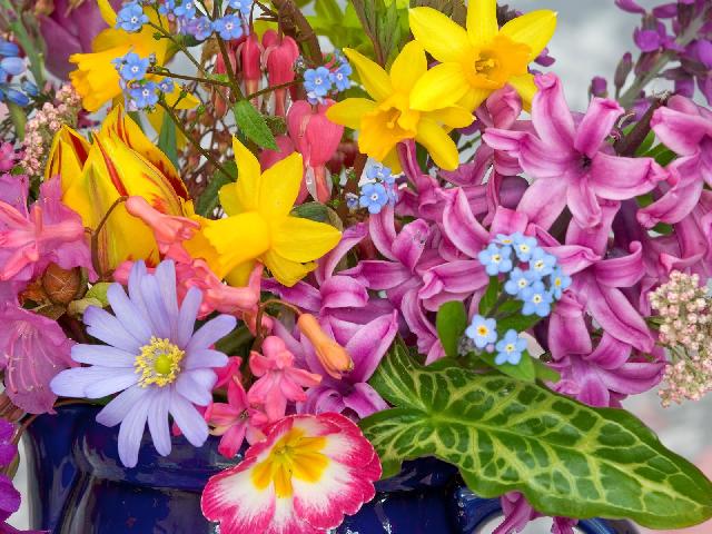Colour Coded Attractive Flowers With Varieties Of Petals