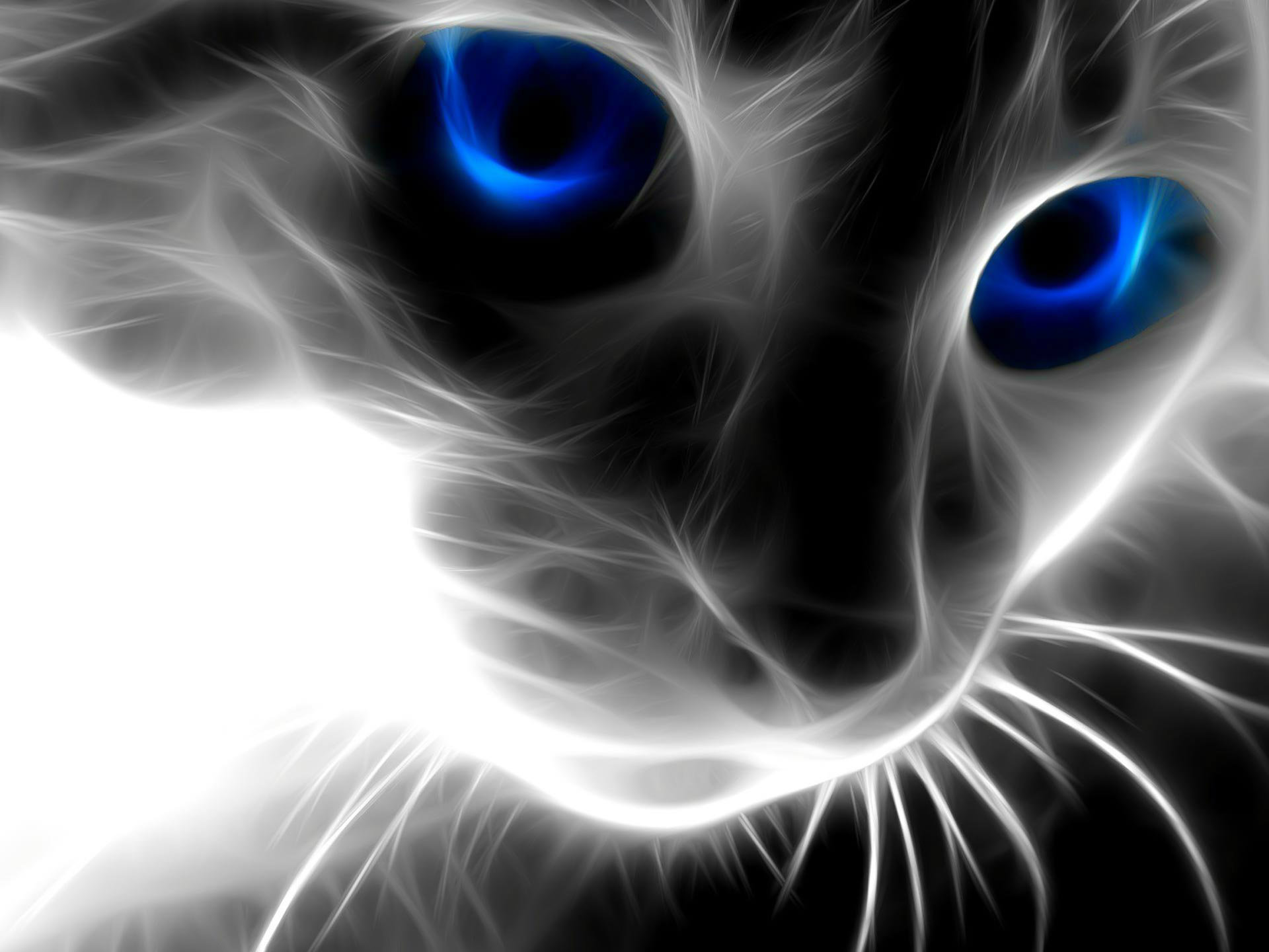 Cute Cat Abstract HD Wallpaper