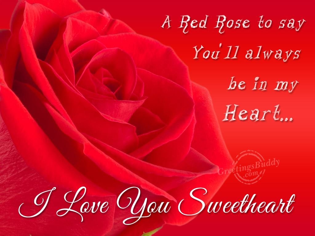 A Red Rose To Say I Love You Sweetheart Wallpaper