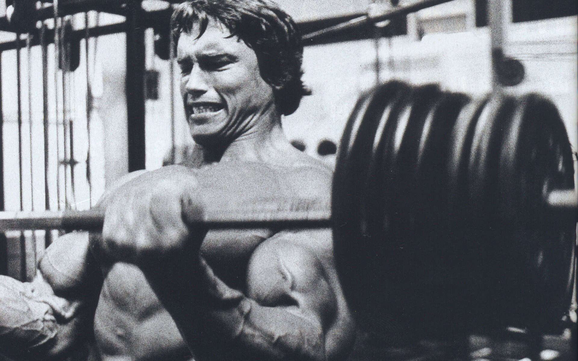 Arnold Schwarzenegger Wallpaper For Desktop