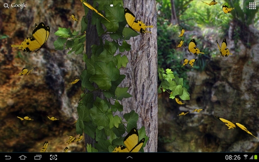 Butterfly 3d Live Wallpaper For Android