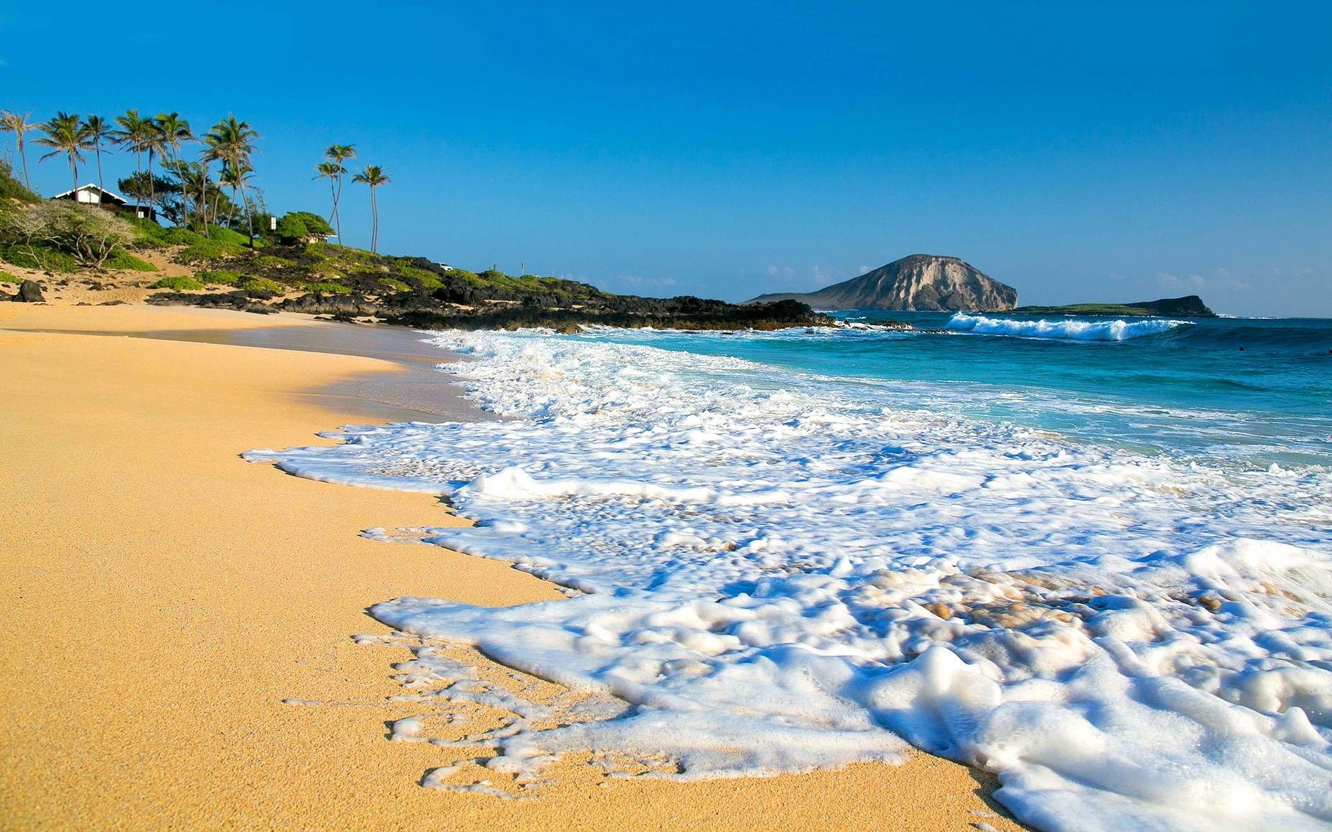 4K beach wallpaper with turquoise water, white sand, and palm trees