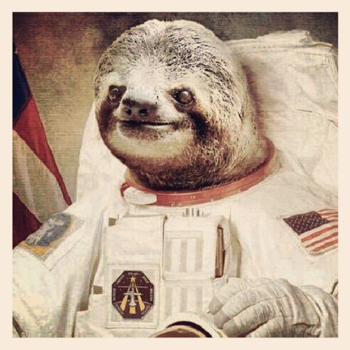 Sloth Astronaut Shirt