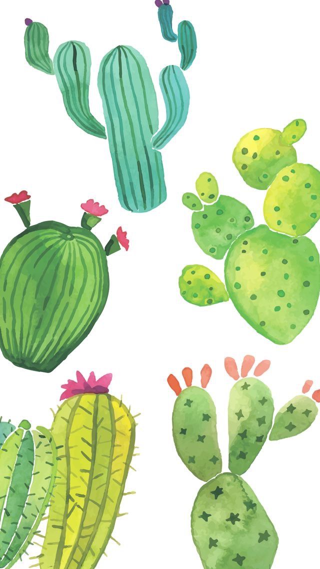 Cute Cactus Background Wallpaper iPhone