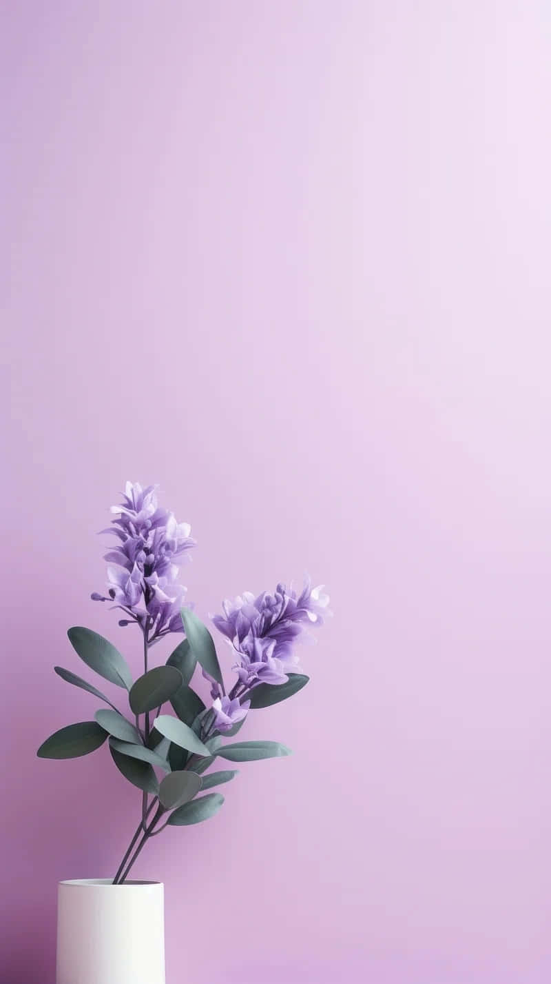 Minimalist Flower Aesthetic Wallpaper