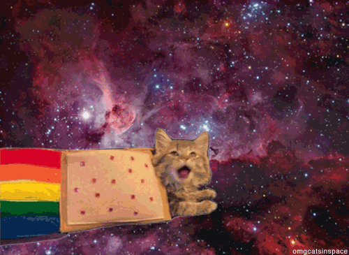  tagged nyan cat nyan gif cat cat gif cats in space space