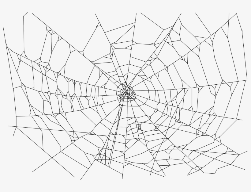 Real Spider Web Transparent Background Png Image Pngio