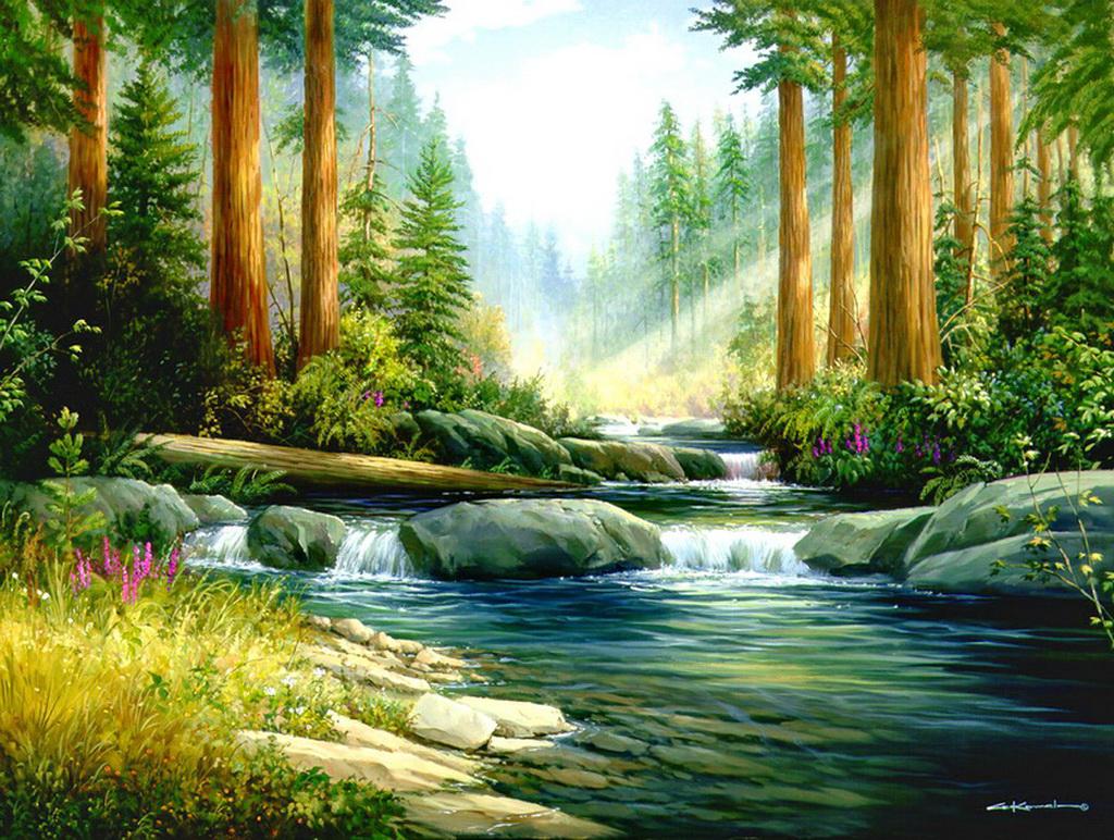 Forest Stream Wallpaper HD